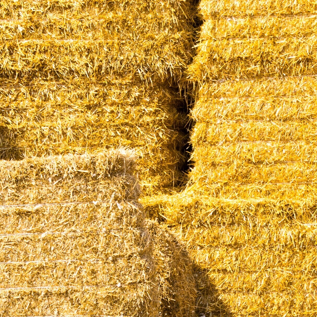 Fodder_Straw_Sq[1].jpg